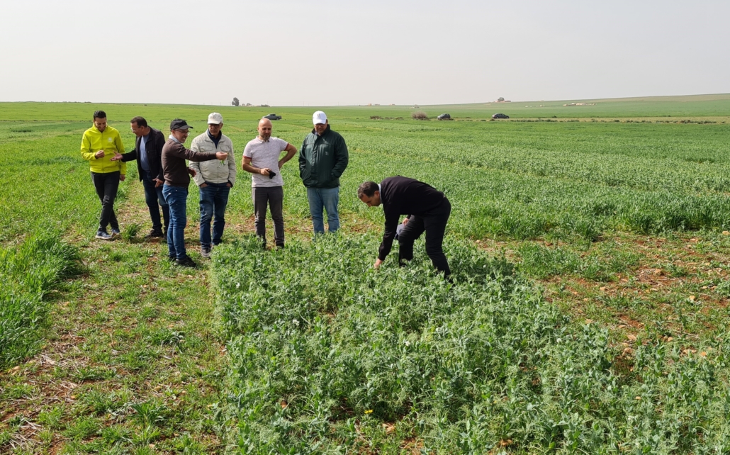 Visit to experimental sites in Oued Zem, Morocco